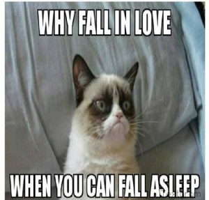 Grumpy Cat meme